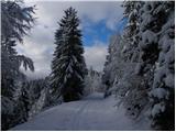 Zgornji Goreljek - Planina Zajamniki